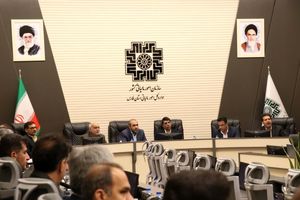 ظرفیت‌های قانونی دستگاه‌های اجرایی به کمک هنرمندان صنایع‌ دستی بیاید