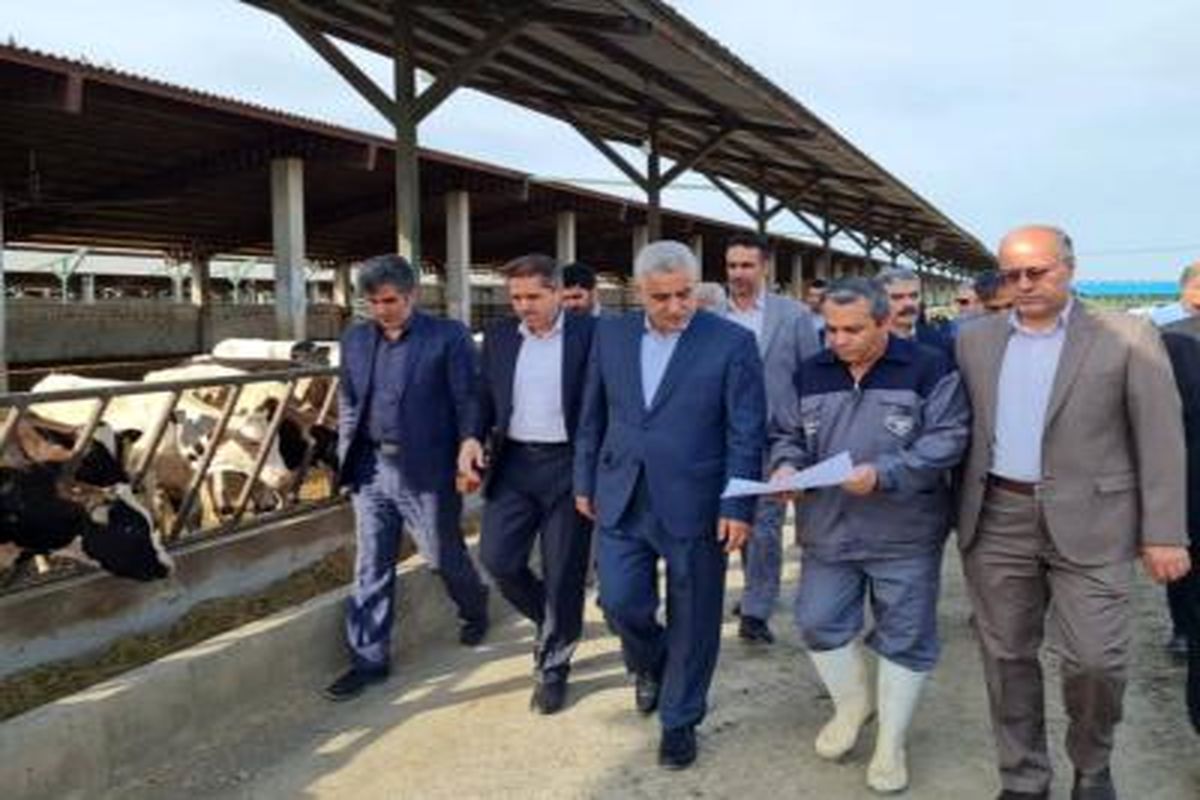 استاندار گیلان