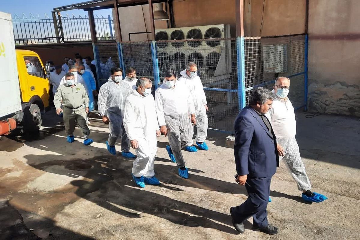 عکس خبر دامپزشکی