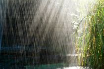 تداوم فعالیت سامانه بارشی و وزش باد شدید در تهران