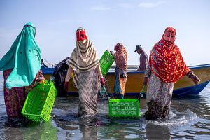 همایش بانوان صیاد برای اولین بار در کشور در هرمز برگزار می شود