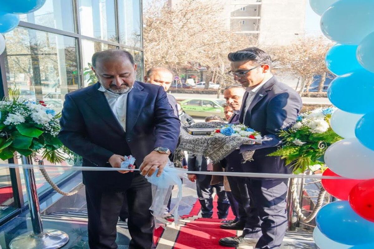 بیمه دی