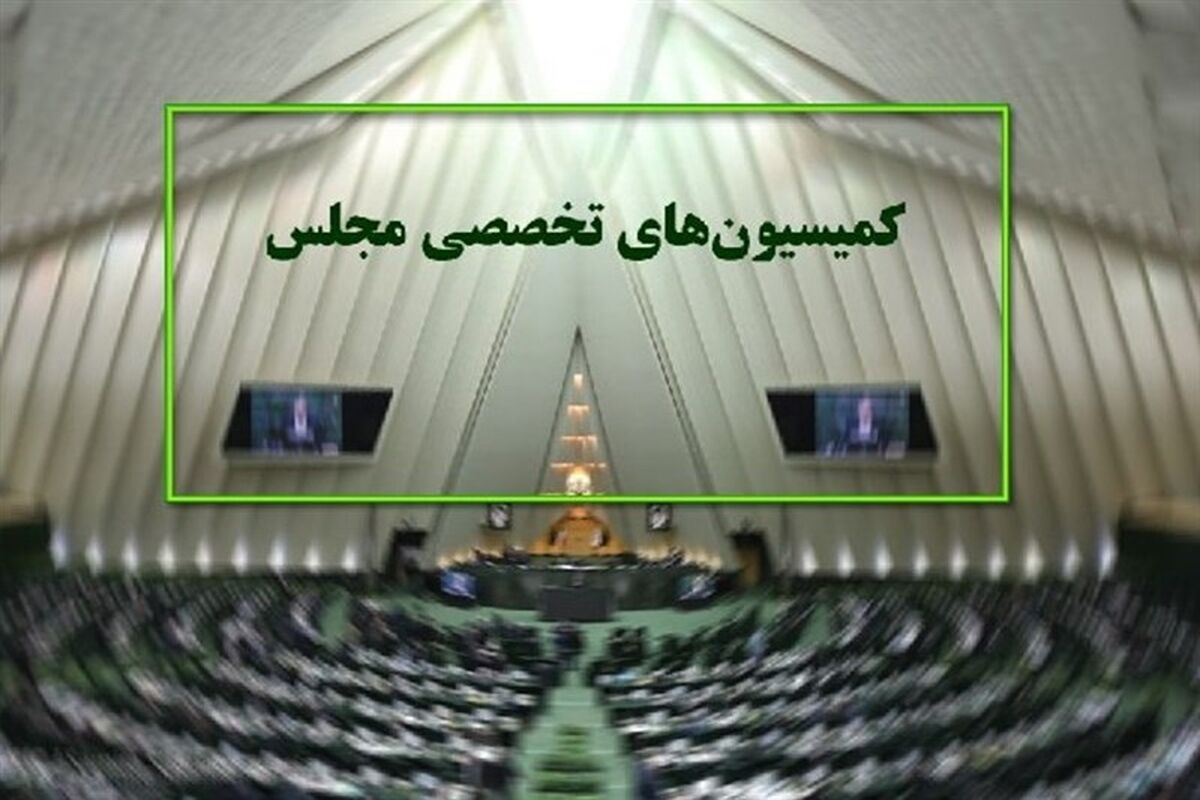 کمیسیون ‌های تخصصی مجلس