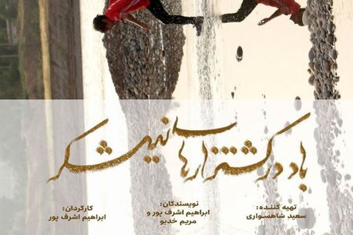 فیلم باد در کشتزارهای نیشکر