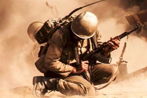 چند «سرباز» در جنگ شهید شدند؟