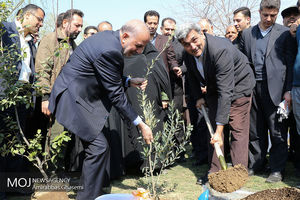 کاشت نهال مادر