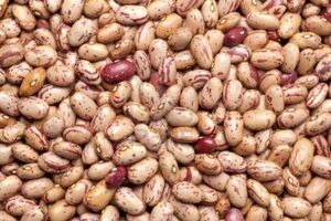 کشف و توقیف محموله میلیاردی لوبیای قاچاق در اصفهان