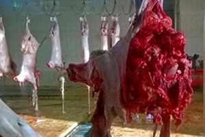 کارگروه ارتقای ایمنی و سلامت فرآورده های گوشتی تشکیل شد