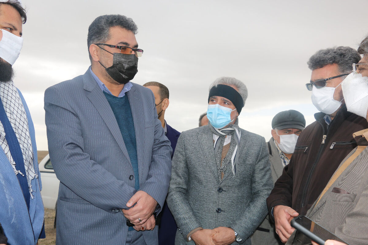 پیمان اسکندری