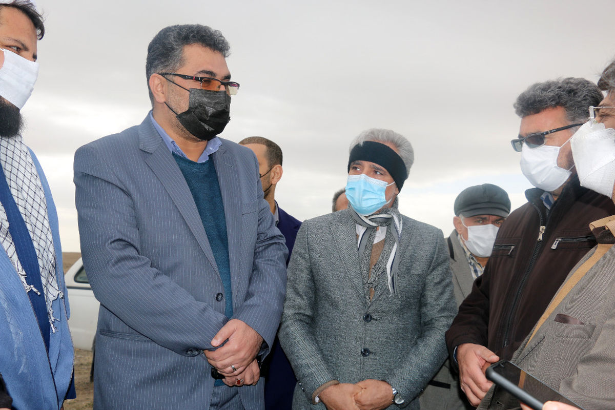 پیمان اسکندری