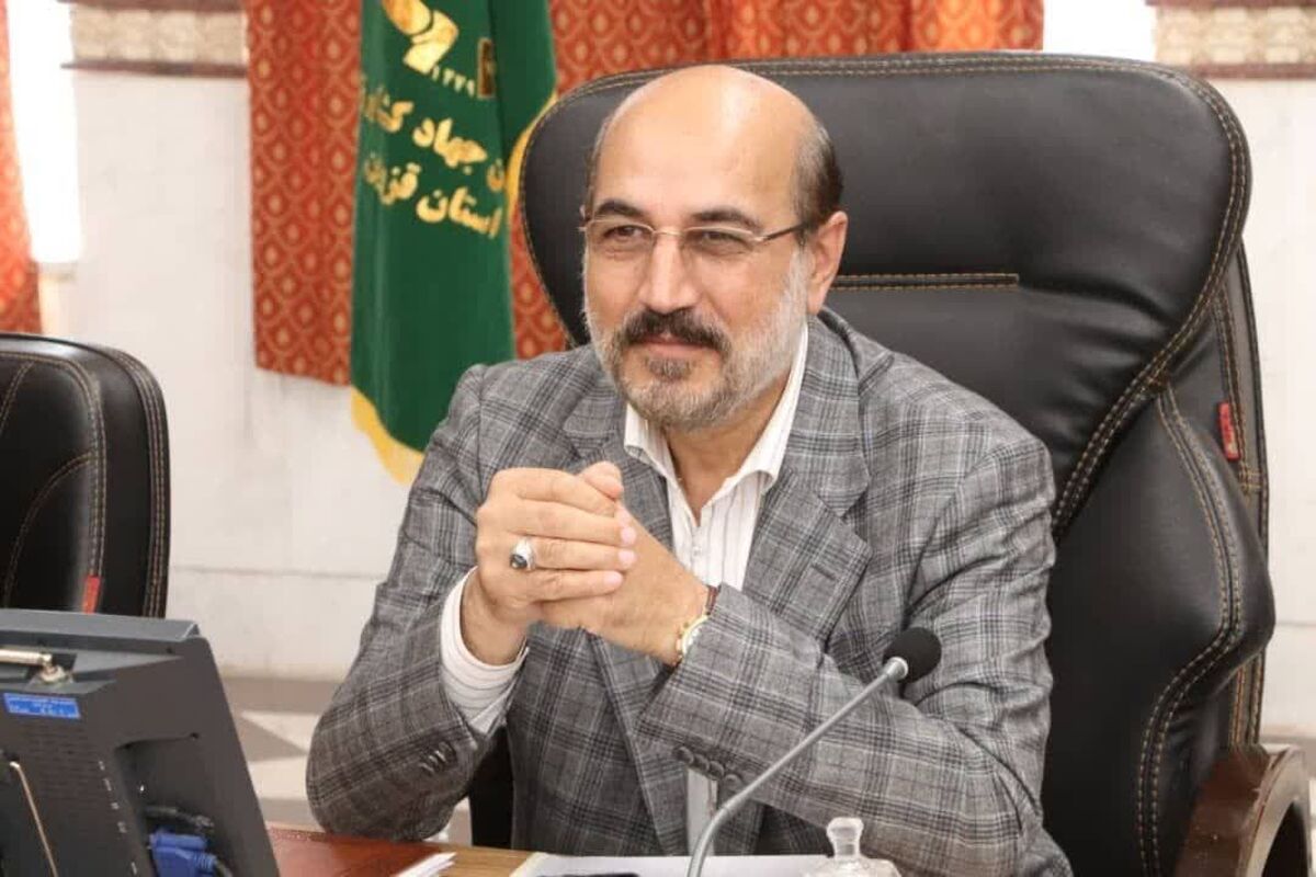 نماینده مجلس