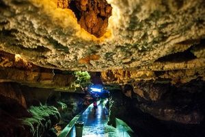 مدیران علیصدر و گنج نامه پاسخگوی حسابرسی خود باشند 