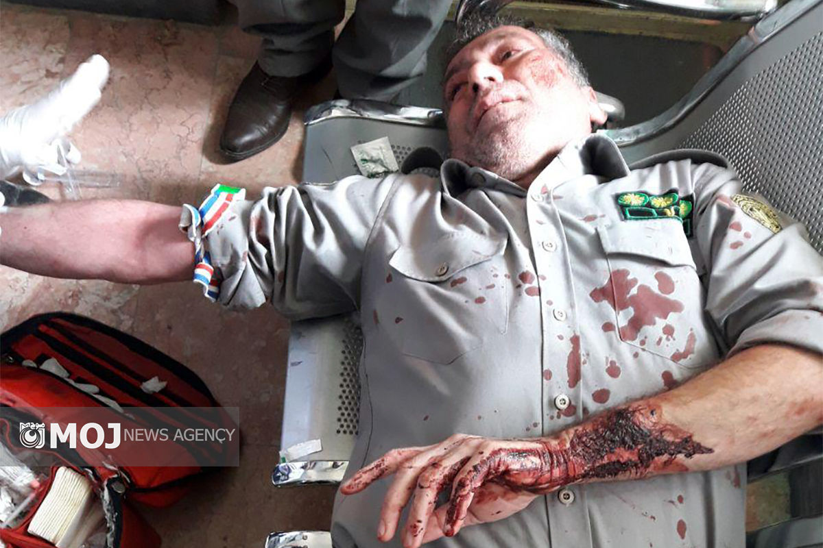 محمدحسین موحدی کیا