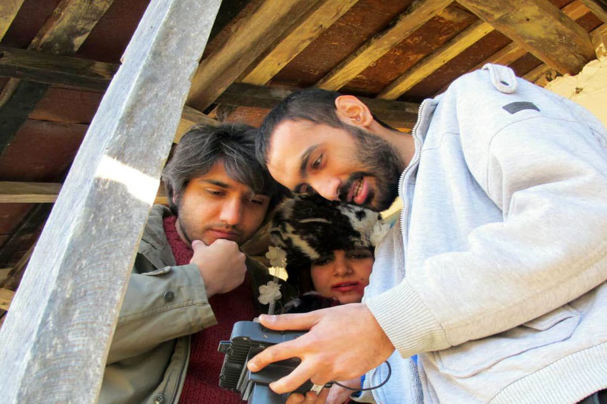 هزار و ده شب