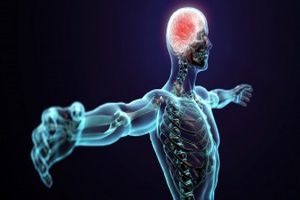 مؤلفه‌های یک ورزش خوب از لحاظ علمی/ تضمین کننده بقای سلامتی را جدی بگیرید