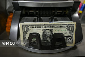 جدیدترین قیمت ارزها در بازار آزاد امروز ۱۱ دی ۱۴۰۴