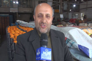 کمبود میوه در شهرستان چالوس نداریم