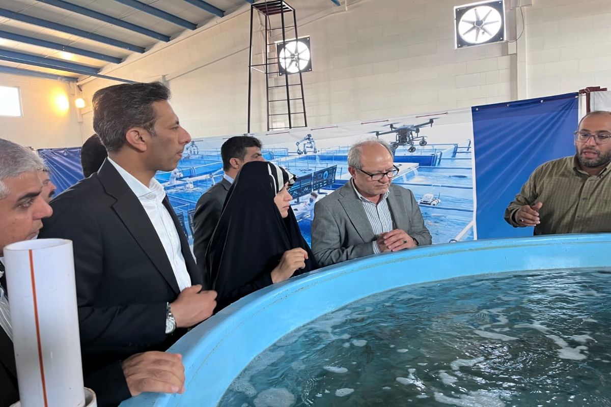 شیلات هرمزگان