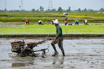 توزیع بیش از 22 میلیون لیتر سوخت در بخش کشاورزی منطقه اردبیل 