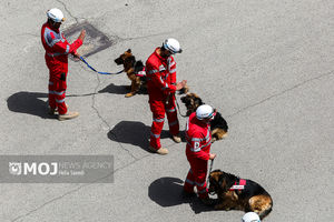 مانور آمادگی نیروهای امدادی به مناسبت سالگرد ارتحال امام (ره) برگزار شد
