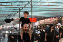 اربعین ۱۴۰۵ در هرمزگان، بازخوانی «ایستادگی» در سایه یادِ شهدا