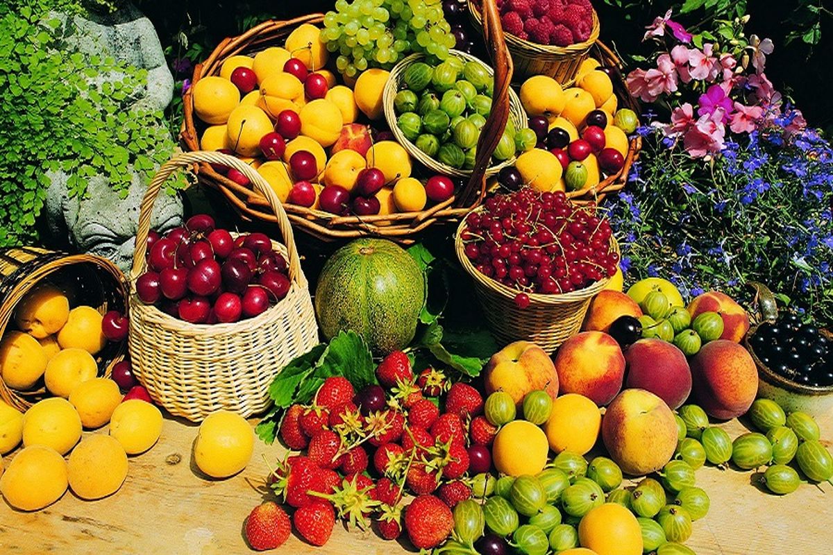 میوه های دانه دار کردستان