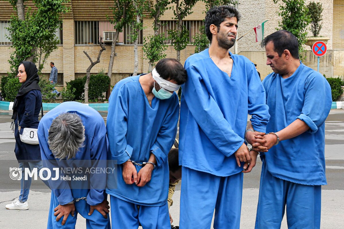 دستگیری ۲۶۴ سارق در تهران