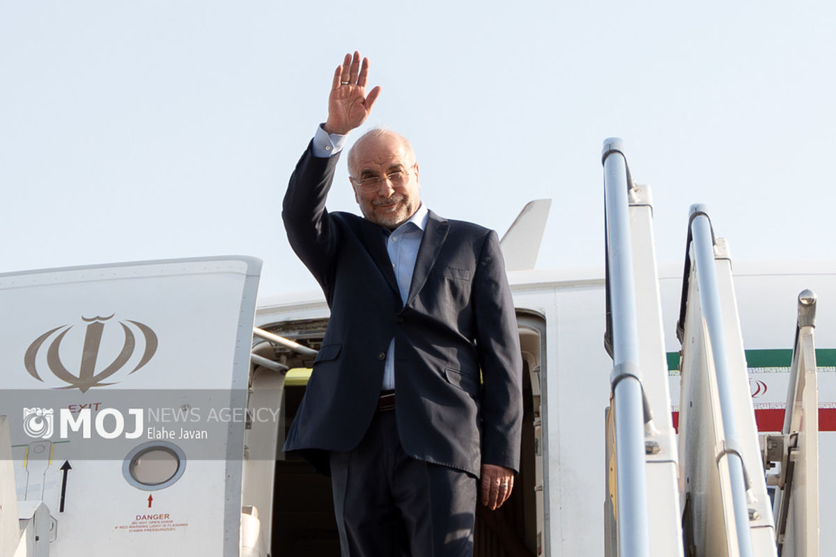 مراسم بدرقه رئیس مجلس به کشور سوئیس