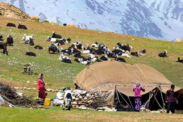 عشایر ۳۵ درصد صنایع دستی و گیاهان دارویی را تولید می‌کنند