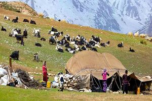 میز تخصصی گردشگری عشایر در فارس راه اندازی شود