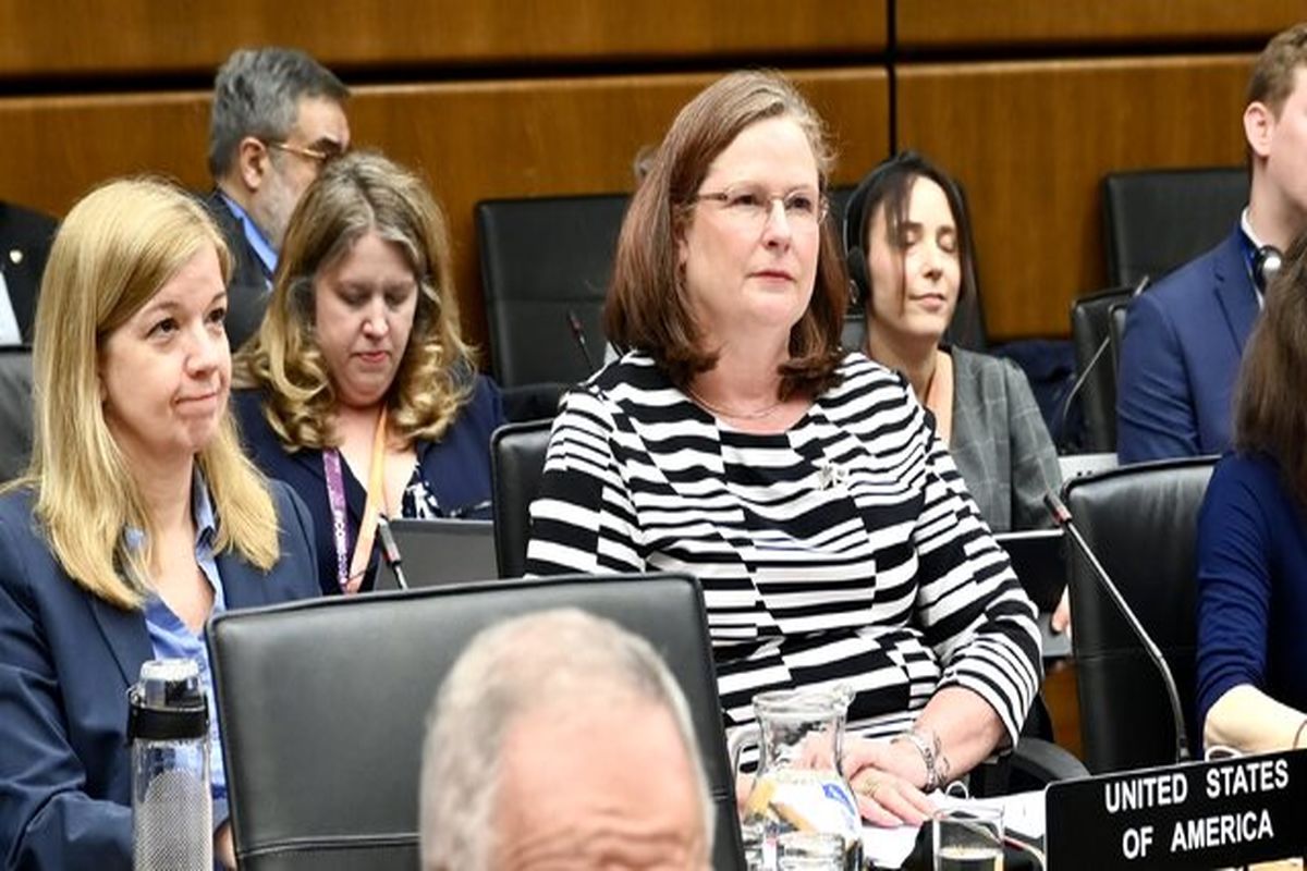 نماینده آمریکا