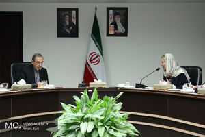 دیدار وزیر امور خارجه هلند با علی اکبر ولایتی