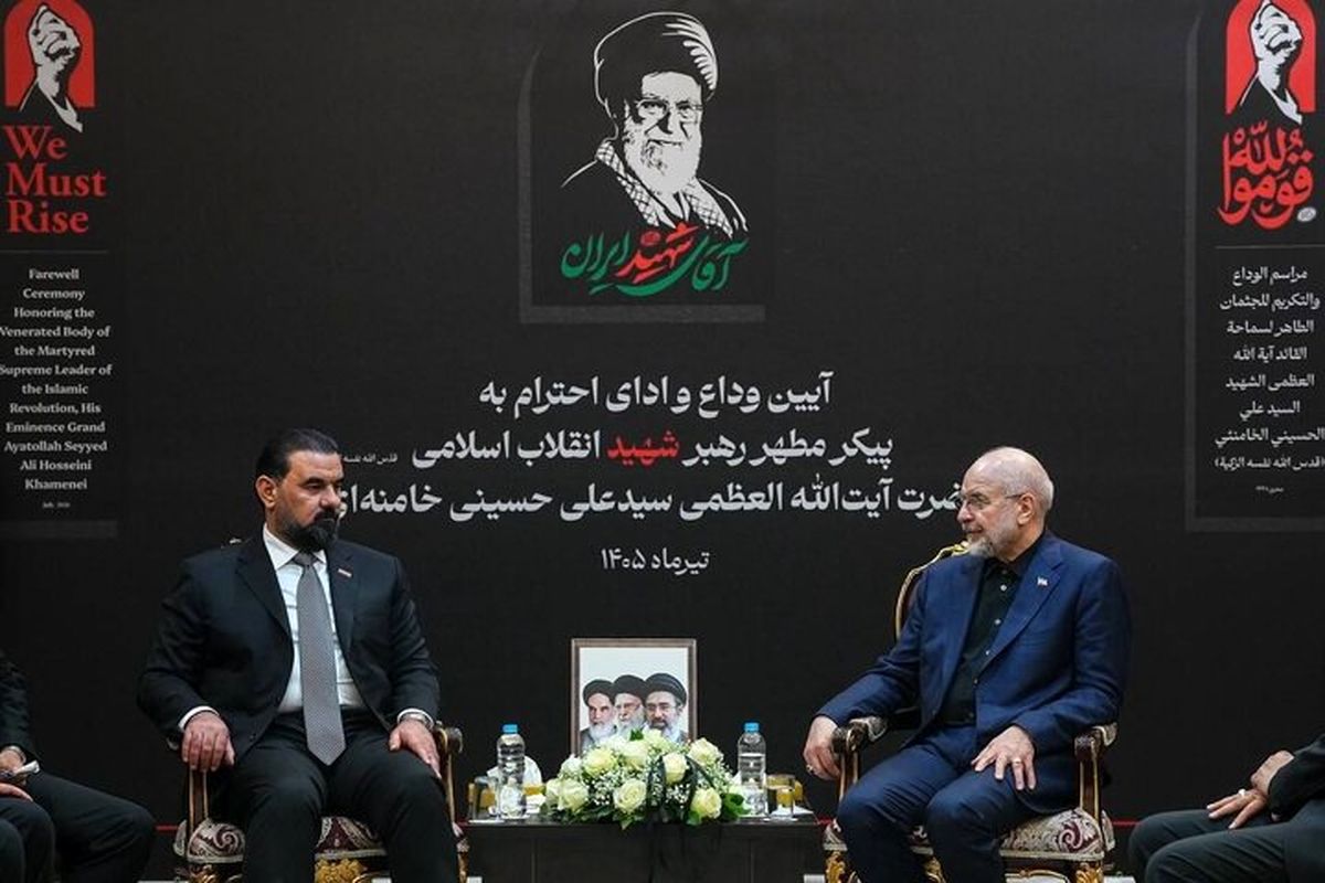رئیس مجلس شورای اسلامی در دیدار با رئیس مجلس عراق