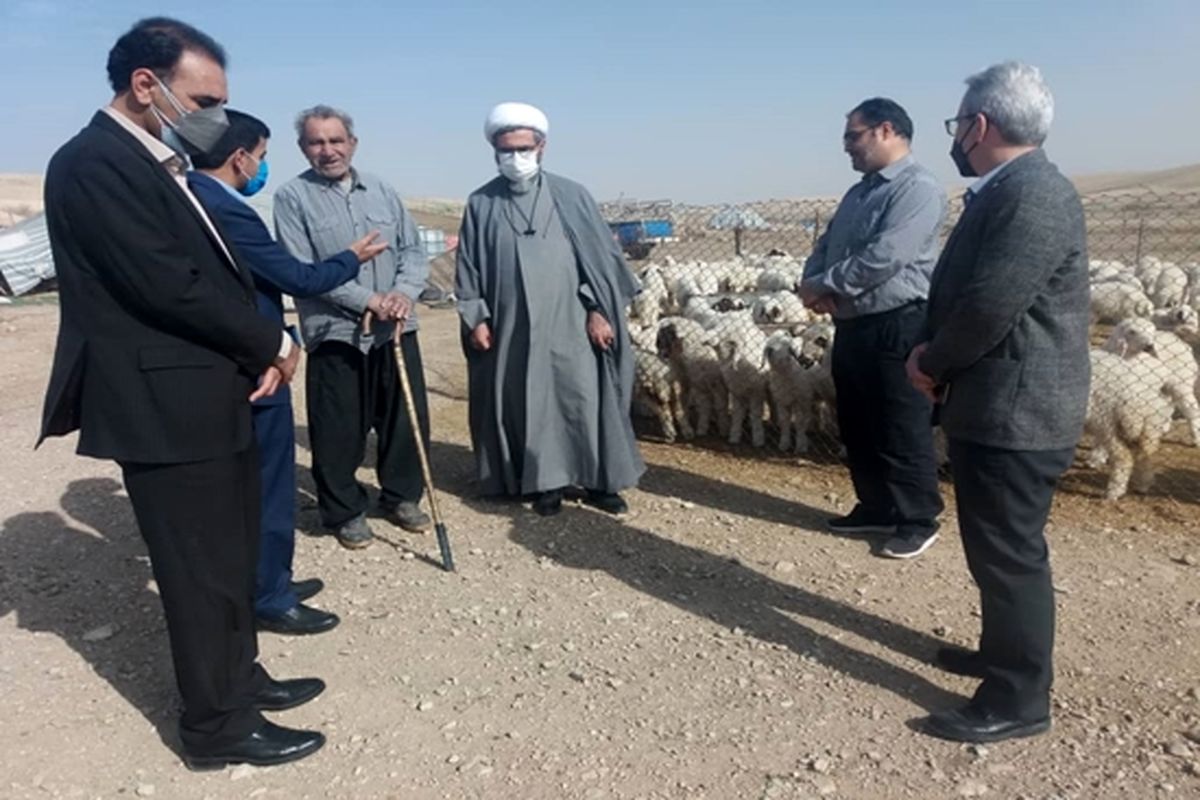 بازدید مدیرکل دامپزشکی ایلام