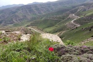 پارک ملی تندوره تعطیل شد