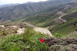 پارک ملی تندوره تعطیل شد