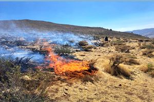 مهار آتش‌سوزی در منطقه حفاظت شده هلن