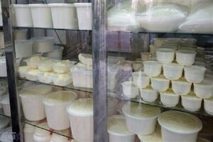 کاهش قیمت لبنیات از ۱۷ مهر