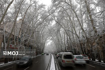 بارش باران و برف در غرب و شمال‌غرب/ تهران سرد می‌شود