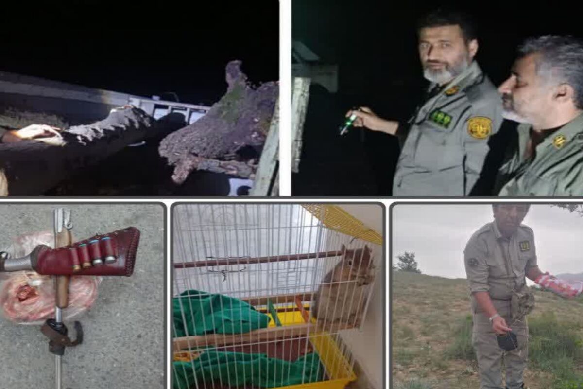حفاظت محیط،زیست مازندران