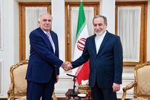 دیدار هماهنگ‌کننده ویژه سازمان ملل متحد در امور لبنان با سید عباس عراقچی + فیلم