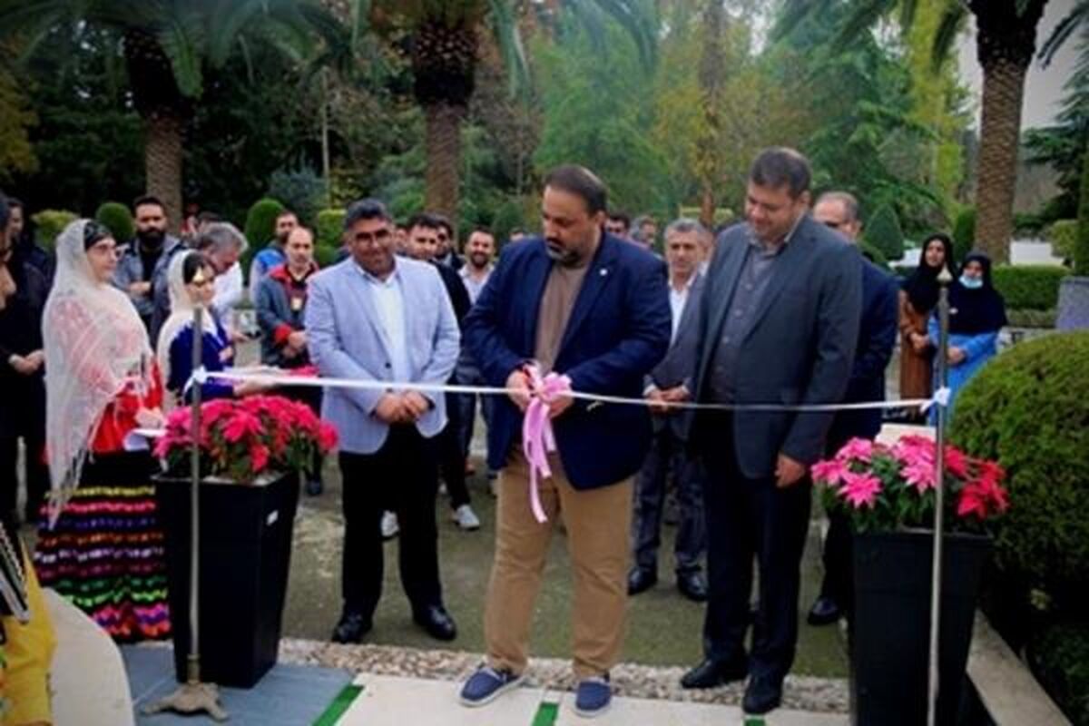 پتروشیمی شازند