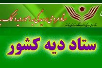 آزادی بیش از 9هزارمحکوم غیرعمد درسال 95/ افزایش 7 درصدی آزادی‌ها