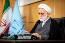 مجازات عناصر آشوبگر و اغتشاشگر، بدون هیچگونه ارفاق قانونی خواهد بود