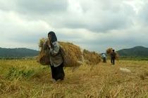 کشاورزان پی برده اند که باید از آب به درستی استفاده کرد