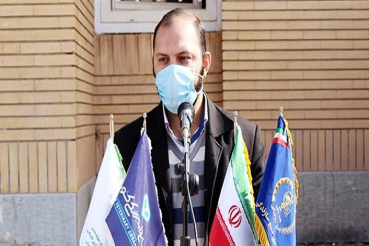 احمد گل‌محمدی