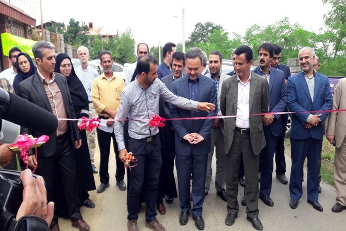 کامبیز نظری فر