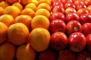 بیش از 400 تن سیب درختی و پرتقال در مازندران ذخیره شد