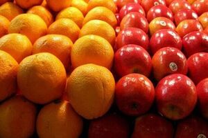 بیش از 400 تن سیب درختی و پرتقال در مازندران ذخیره شد