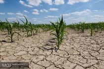 ۴۳ شهر دچار تنش آبی هستند/ ۸۰ درصد از آب در بخش کشاورزی مصرف می‌شود + فیلم